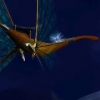 flieger