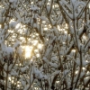 4. Januar