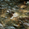 Eifgenbach