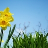 Ostern