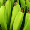 Grüne Bananen