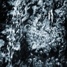 Wasser 3