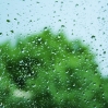 Fenstertropfen