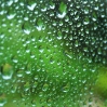 Window drops 2