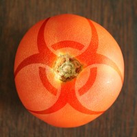 Gefährliches Früchtchen