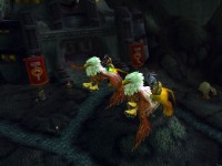 On golden gryphons' wings ... On golden gryphons' wings ...